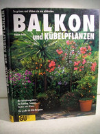 Balkon- Und Kübelpflanzen. So Grünen Und Blühen Sie Am Schönsten. - Sonstige & Ohne Zuordnung