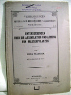 Untersuchungen über Die Assimilation Und Atmung Von Wasserpflanzen - Botanik