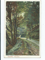 Devon   Postcard   Clovelly Hobby Drive Peacock Unused - Clovelly