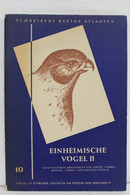 Einheimische Vögel II - Animaux