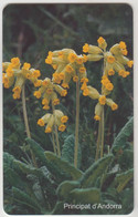 ANDORRA - Flower, Tirage.20.000, 09/01, 50U, Used - Andorre
