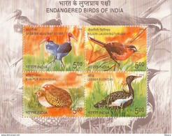 INDIA 2006 ENDANGERED BIRDS Miniature Sheet / SS MNH, P.O Fresh & Fine - Pelícanos