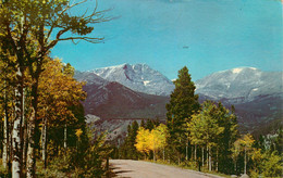 CPSM Mt.Ypsilon From Trail Ridge Road-Rocky Mountain National Park-Timbre       L1846 - Rocky Mountains