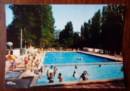 Carte Postale - Vouillé-la-Bataille - La Piscine - Vouille