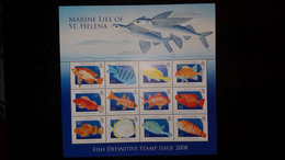 Saint Helena 2008 Marine Life Of St.Helena - Fish Poissons Ms12v Mnh - Sainte-Hélène