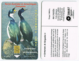 TAAF - Cormorans De Kerguelen - Dbz02 - TAAF - Franz. Süd- Und Antarktisgebiete