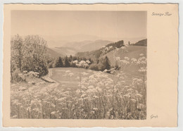 Groh, Fotokunst, Sonnige Flur Im Schwarzwald - Autres & Non Classés