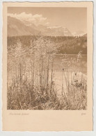 Groh, Fotokunst, Flüsternde Gräser, Silsersee - Other & Unclassified