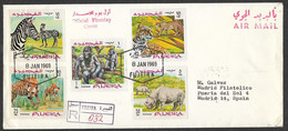 Fujeira 1969 Rhinocéros Zèbre Gorille Léopard FDC Recommandé Rhino Zebra Gorilla Leopard R FDC United Arab Emirates - Gorilla's