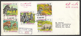 Fujeira 1969 Rhinocéros Zèbre Gorille Léopard FDC Recommandé Rhino Zebra Gorilla Leopard R FDC United Arab Emirates - Gorilas