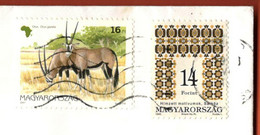 Hungary / 1997 Oryx Gazella 16 Ft, 1995 Folklore Motives 14 Ft - Cartas & Documentos