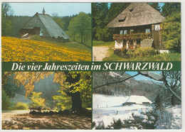 Schwarzwald, Baden-Württemberg - Autres & Non Classés