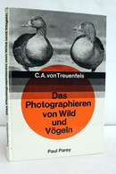 Das Photographieren Von Wild Und Vögeln. - Fotografía