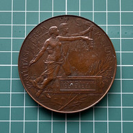 Medal Plakette PL000163 Hungary Serbia Subotica Kiallitasi Erem Az Erdem Jutai Maul Regimental National Association 1896 - Sonstige & Ohne Zuordnung