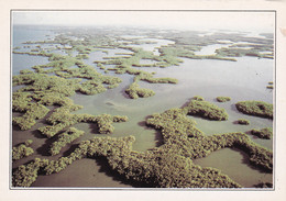 A20043 - FLORIDA THE EVERGLADES NATIONAL PARK USA UNITED STATES OF AMERICA GOHIER EXPLORER IMPRIME EN CEE - USA Nationale Parken