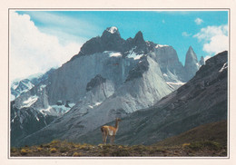 A20099 - PARC NATIONAL DE PAINE DANS LES ANDES DE PATAGONIE CHILE CHILI FRANCOIS GOHIER EXPLORER IMPRIME EN CEE - Chili