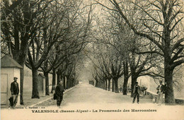 Valensole * La Promenade Des Marronniers * Villageois - Autres & Non Classés