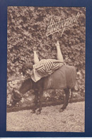 CPA Mistinguett Artiste Ane Donkey Non Circulé - Entertainers