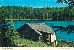 Postcard Canada Prince Albert National Park Ajawan Lake Grey Owl's Cabin - Autres & Non Classés