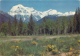 Postcard Canada Mount Robson - Victoria