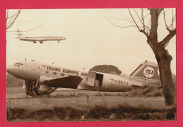 BELLE PHOTO REPRODUCTION AVION PLANE FLUGZEUG - TEA DOUGLAS DC3 TRANS EUROPE AIR LINE - DC 3 - Aviación