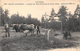 63-SAINT-ANTHEME- LIMITE DU PUY DE DOME ET DE LA LOIRE - Other & Unclassified