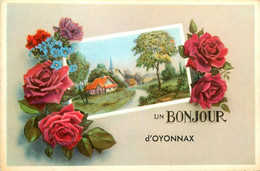 Oyonnax * Souvenir Et Un Bonjour De La Commune - Oyonnax