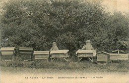 Rambouillet * La Ruche , Le Patis * Les Ruches * Métir Apiculteur Apiculture Ruche * Oeuvre De Solidarité D'éducation - Rambouillet