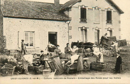 Grisy Suisnes * Culture Spéciale De Rosiers , Emballage Des Roses Pour Les Halles * Métier Industrie Locale - Andere & Zonder Classificatie