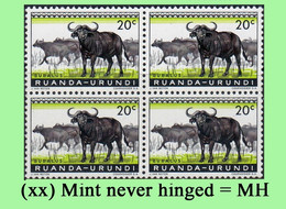 1959 ** RUANDA-URUNDI = RU 206 MNH PROTECTED ANIMALS BUFFALO ( BLOCK X 4 STAMPS WITH ORIGINAL GUM ) - Unused Stamps