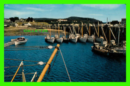 SHIP, BATEAU - THE FAMOUS DIGBY SCALLOP FLEET - PINE HOTEL IN THE BACKGROUND - H. S. CROCKERR CO INC - - Pêche