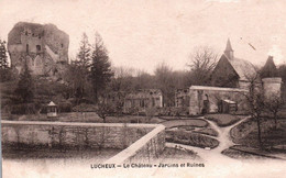 14484 LUCHEUX   Le Château  Jardins Et Ruines    (Recto-verso) 80 - Lucheux