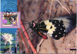 AUSTRALIE CARTE MAXIMUM DES N°1590 PAPILLON AVEC OBLITERATION ILLUSTREE DU 10 APRIL 1997 - Schmetterlinge