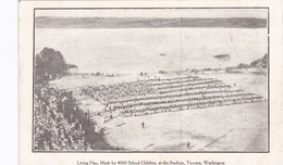 Washington Tacoma Living Flag Made By 4000 School Children At The Stadium 1910 - Tacoma