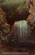 Kentucky Mammoth Cave Historic Entrance Looking Out 1950 Curteich - Mammoth Cave