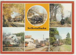 Selketalbahn, Kreis Quedlinburg, Sachsen-Anhalt - Quedlinburg