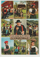 Schwarzwald, Baden-Württemberg - Autres & Non Classés