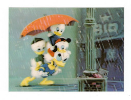Carte 2D Walt Disney Company Donald Duck Canard Anatra Riri Fifi Loulou Parapluie Umbrella Donald In The Rain PK-336 - Otros & Sin Clasificación