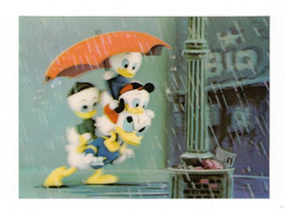 Carte 2D Walt Disney Company Donald Duck Canard Anatra Riri Fifi Loulou Parapluie Umbrella Donald In The Rain PK-336 - Altri & Non Classificati