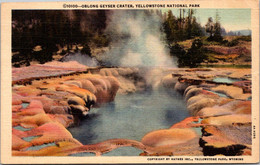 Yellowstone National Park Oblong Geyser Crater 1947 Curteich - Parques Nacionales USA