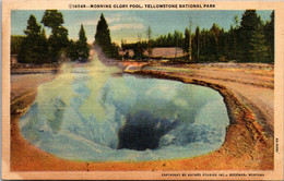 Yellowstone National Park Morning Glory .Pool Curteich - USA National Parks