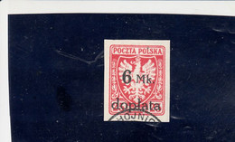 POLONIA 1921 -  S  33° - Servizio - Oficiales