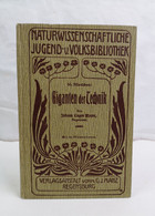 Giganten Der Technik. Naturwissenschaftliche Jugend- Und Volksbibliothek. 66. Bändchen. - Techniek