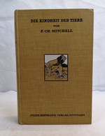 Die Kindheit Der Tiere. - Léxicos