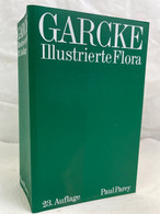 Illustrierte Flora : Deutschland U. Angrenzende Gebiete; Gefässkryptogamen U. Blütenpflanzen. - Dieren