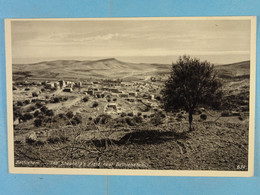 Bethlehem The Shepherd's Field Near Bethlehem - Israel