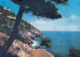 CARTOLINA  S.FELICE CIRCEO,LATINA,LAZIO,SCOGLIERA DI LEVANTE,MARE,SOLE,ESTATE,VACANZA,SPIAGGIA,BARCHE,VIAGGIATA 1974 - Latina