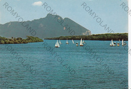 CARTOLINA  S.FELICE CIRCEO,LATINA,LAZIO,CIRCEO PITTORESCO-LAGO DI PAOLA-SABAUDIA-REGATA VELICA,VACANZA,VIAGGIATA 1985 - Latina