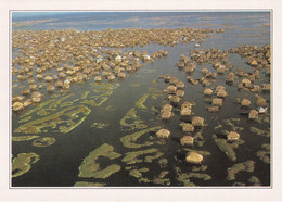 A20204 - GANVIE VILLAGE SUR PILOTIS BENIN RENAUDEAU HOA QUI - Benin