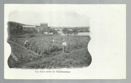 ***  HUY ***  -  Vue D'une Partie De L'établissement  -  Zie / Voir Scan's - Huy